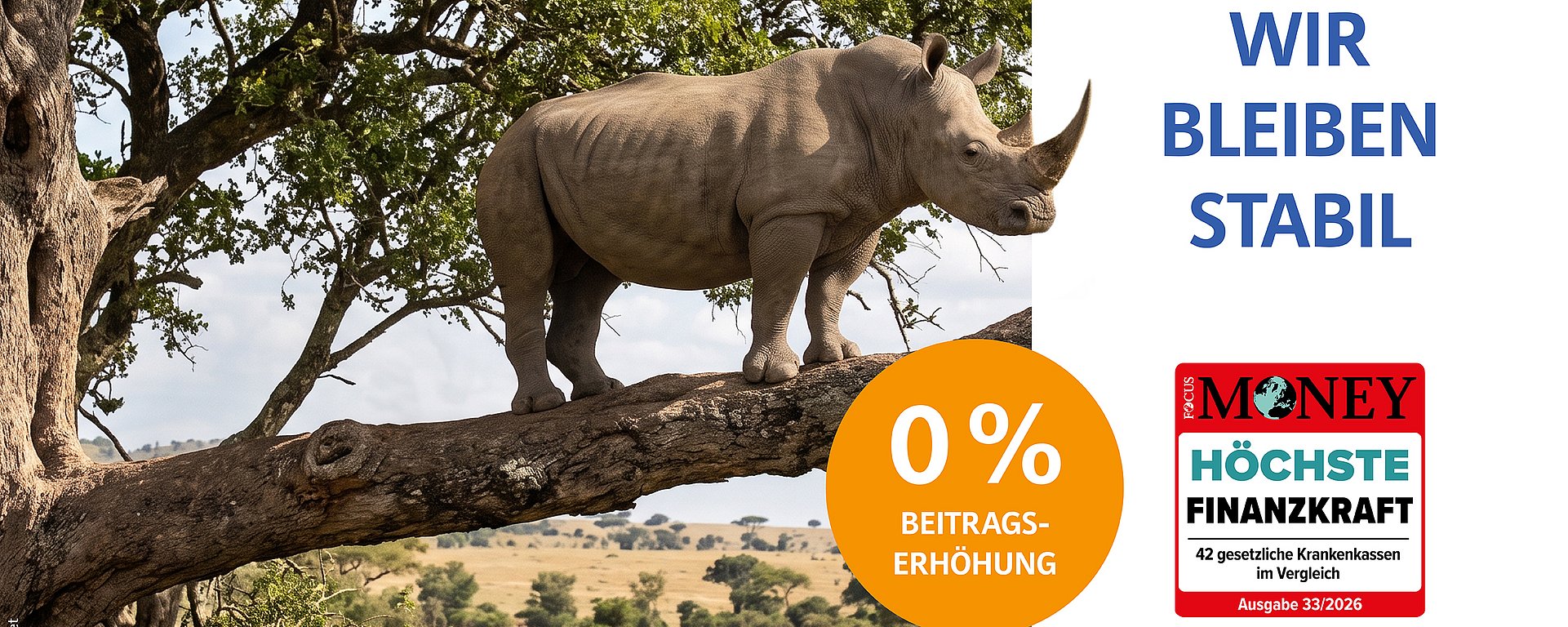 Ein Nashorn steht auf einem Ast über der Savanne. Der Text lautet: „Wir bleiben stabil“, „0 % Beitragserhöhung“ und „Höchste Finanzkraft“. Die Logos von BKK firmus und FOCUS MONEY sind zu sehen.