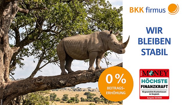 Ein Nashorn steht auf einem Ast über der Savanne. Der Text lautet: „Wir bleiben stabil“, „0 % Beitragserhöhung“ und „Höchste Finanzkraft“. Die Logos von BKK firmus und FOCUS MONEY sind zu sehen.