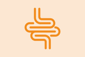 Eine orangefarbene, vereinfachte Strichzeichnung von Eingeweiden auf hellbeigem Hintergrund, die einem stilisierten Symbol für den Verdauungstrakt ähnelt.