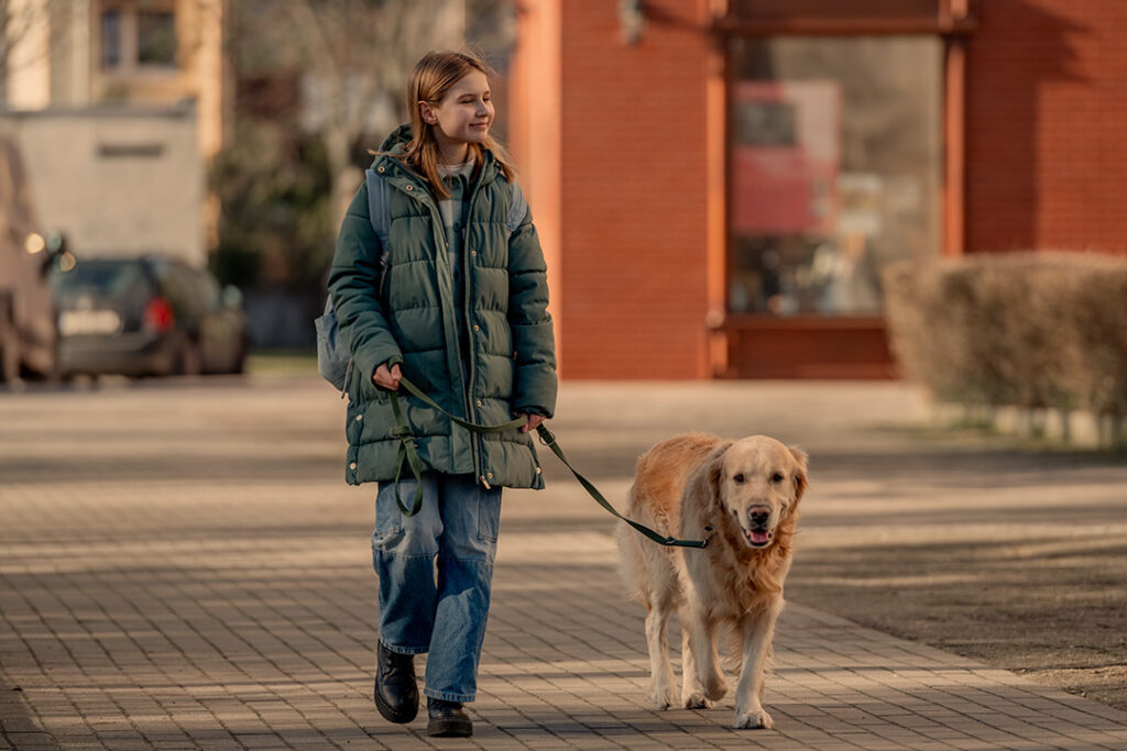 Ein junger Mensch in einem grünen Wintermantel führt einen Golden Retriever an der Leine entlang eines gepflasterten Gehwegs in einem städtischen Gebiet, im Hintergrund sind Gebäude und geparkte Autos zu sehen.