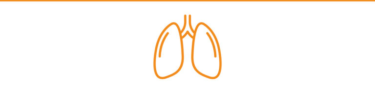 Einfache orangefarbene Strichzeichnung menschlicher Lungen, zentriert auf einem weißen Hintergrund, mit einer orangefarbenen horizontalen Linie am oberen Rand.