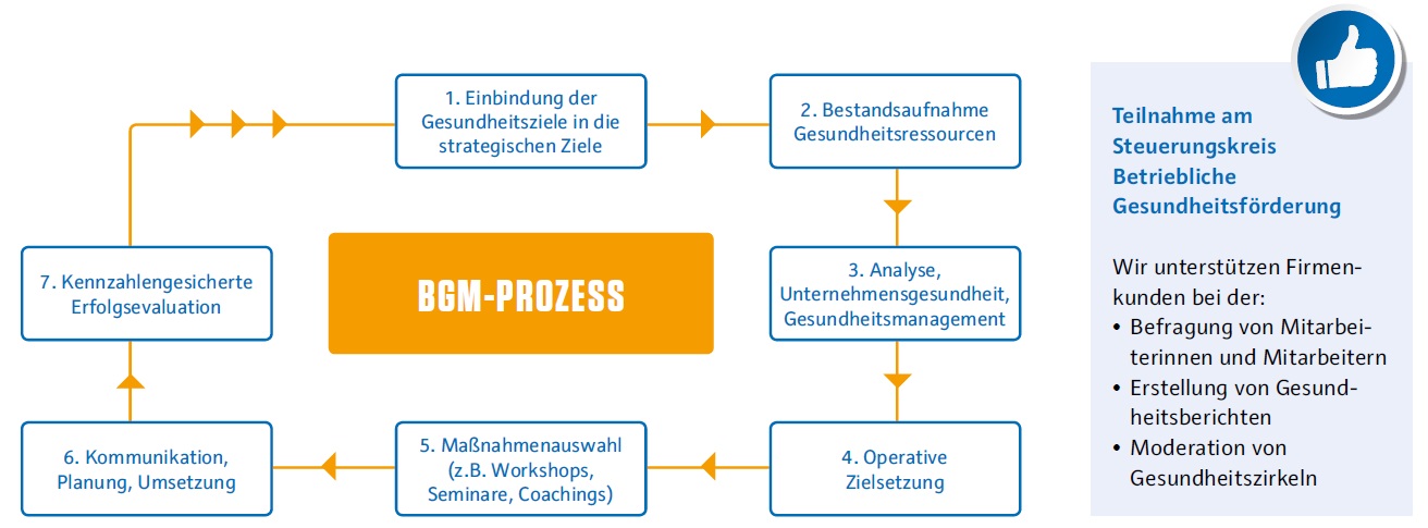 Der BGM-Prozess mit der BKK firmus Der BGM-Prozess mit der BKK firmus